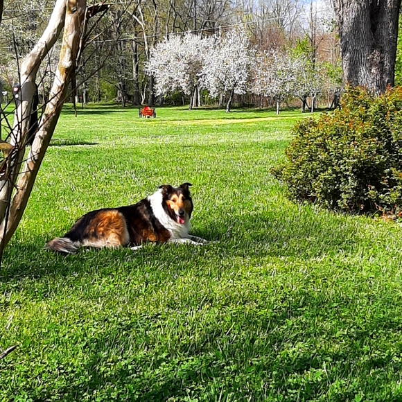 Meet your Posher, Pam - Picture 1 of 1